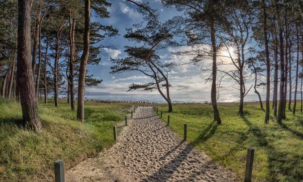 Direkt Am Strand Mit Meerblick Und Sauna - Fewo Strandidyll Binz Exterior foto